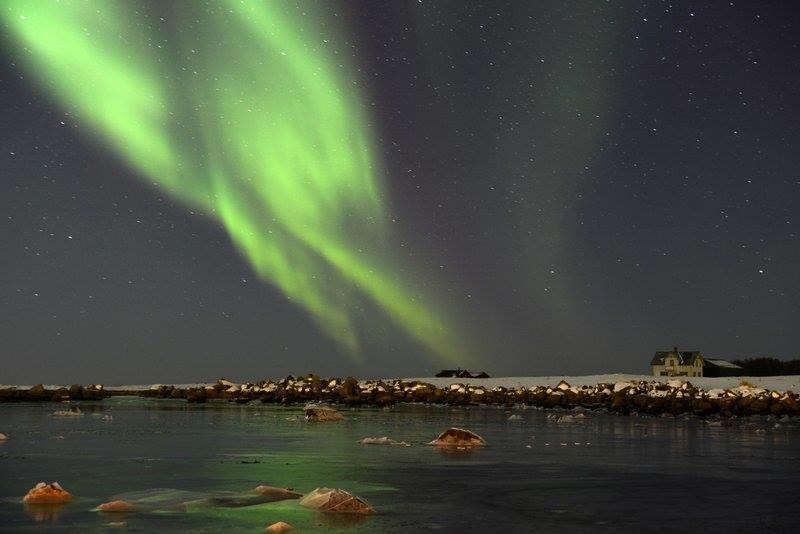 Borghildstua Feriehus Melbu ห้อง รูปภาพ
